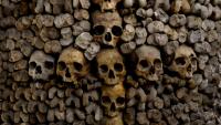 Des crânes et des ossements humains alignés contre un mur des catacombes de Paris, le 24 mars 2026