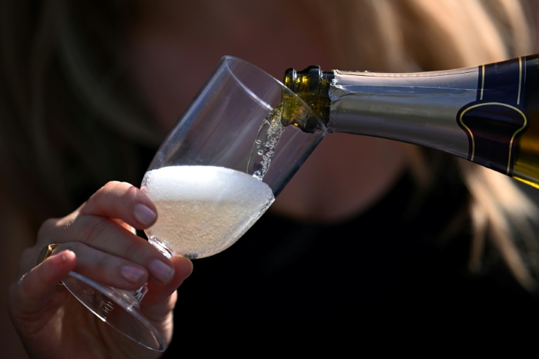 La récolte de champagne en 2026 présente 