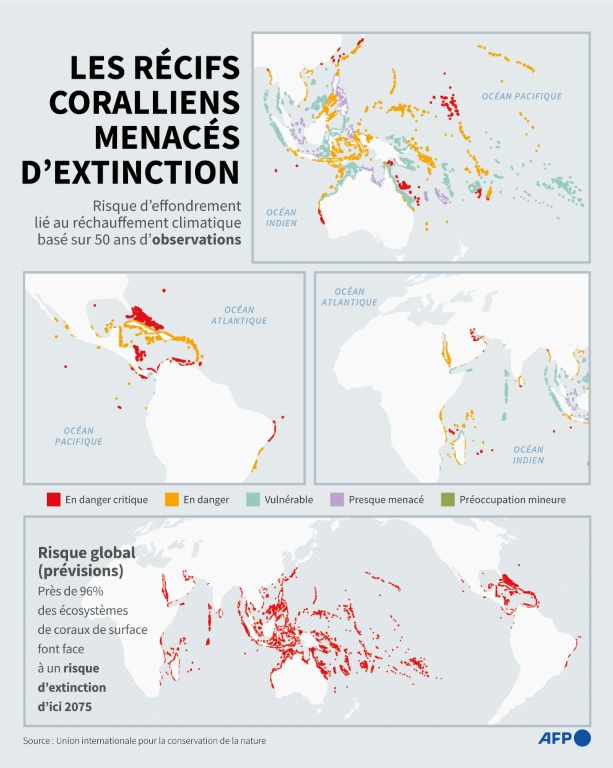 Les récifs coralliens menacés d'extinction