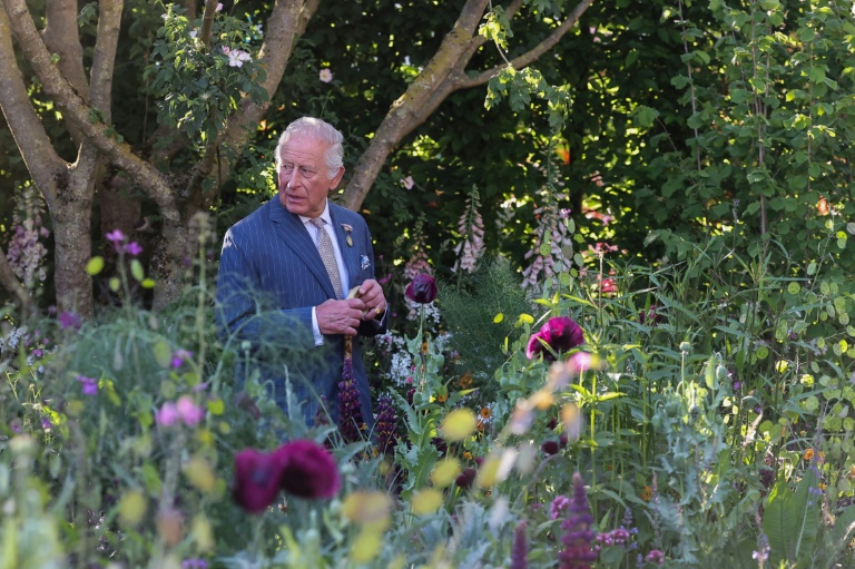 Charles III peu avant l'ouverture du Chelsea Flower show, à Londres, le 19 mai 2025 