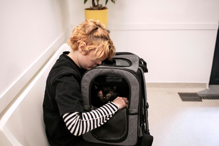 Hélèna caresse son chat Odin, atteint d'un cancer de la paupière et de la gorge, lors d'un rendez-vous chez le vétérinaire à l'hôpital vétérinaire de Maison-Alfort, le 9 juin 2026 dans le Val-de-Marne