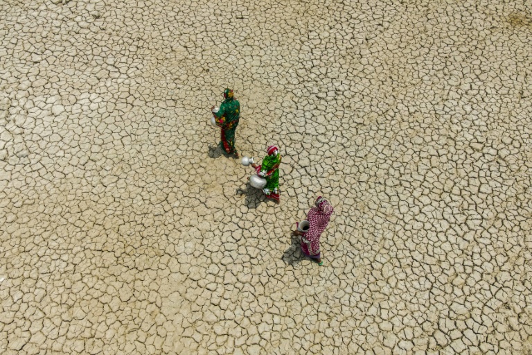 Des femmes traversent un champ desséché pour aller chercher de l'eau potable à la rivière Kholpetua, au village de Parshemari, le 25 avril 2025 au Bangladesh
