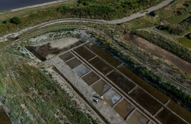 Cette photographie aérienne montre le saunier Simon Poinot récoltant la fleur de sel qui forme une fine croûte à la surface de l’eau de mer, acheminée par les bassins de son marais salant à Château-d’Oléron, sur l’île d’Oléron, dans le sud-ouest de la France, le 17 juin 2026