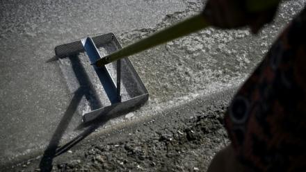 La saunière française Annabelle Poinot récolte la fleur de sel qui forme une fine croûte à la surface de l’eau de mer acheminée à travers les bassins d’un marais salant à Château-d’Oléron, sur l’île d’Oléron, dans le sud-ouest de la France, le 17 juin 2026