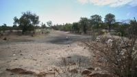 Sécheresse à Mudzi, au Zimbabwe, le 2 juillet 2024, lors d'un précédent épisode El Niño