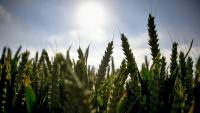 La France est devant "un mur d'investissements" en matière d'adaptation au changement climatique, selon la ministre française de la Transition écologique
