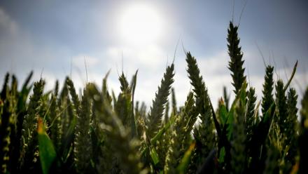 La France est devant "un mur d'investissements" en matière d'adaptation au changement climatique, selon la ministre française de la Transition écologique