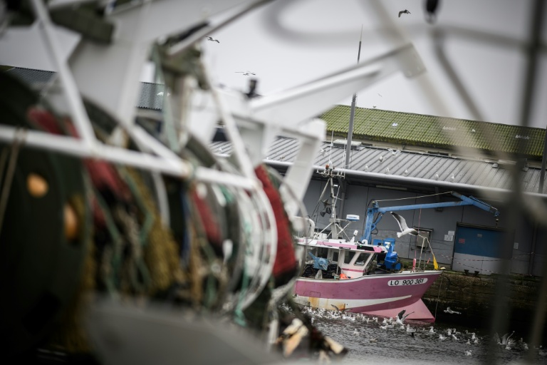 Le président du comiLes pêcheurs sont réunis jeudi et vendredi pour leurs assises à Cherbourg, en Normandie, pour débattre de l'avenir du secteur, récemment bousculé par la flambée des prix du carburant.té national des pêches appelle à 