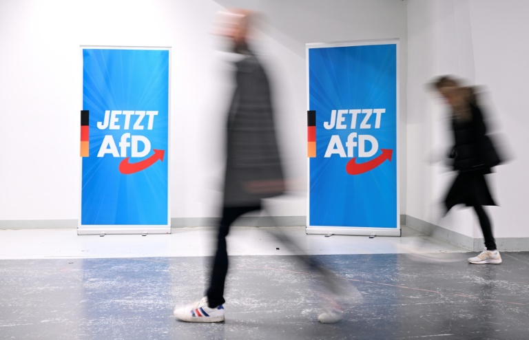 Des participants arrivent au congrès du parti d'extrême droite allemand AfD à Giessen, le 29 novembre 2025 en Allemagne