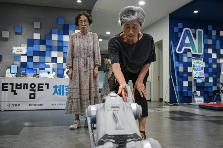 Une femme âgée interagit avec un chien robot à la Seoul Open City University, à Séoul, le 16 juillet 2026