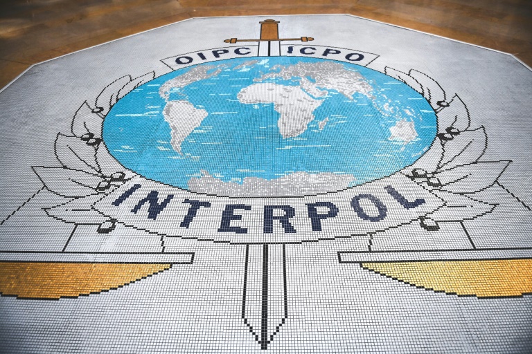 Interpol annonce 260 arrestations  en Afrique pendant l'été dans des arnaques sentimentales et sextorsion en ligne