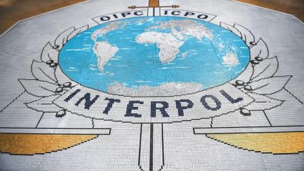 Interpol annonce 260 arrestations  en Afrique pendant l'été dans des arnaques sentimentales et sextorsion en ligne