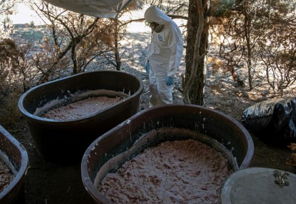 Un expert de l’armée mexicaine près de conteneurs contenant de la pâte de méthamphétamine dans un laboratoire clandestin près de La Rumorosa, au Mexique, le 28 août 2018 