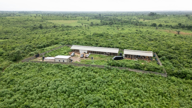 Un laboratoire clandestin de méthamphétamine abandonné, lors d’une opération de l’Agence nationale nigériane de lutte contre les stupéfiants (NDLEA) visant à démanteler le site à Iroto, au Nigeria, le 29 juillet 2026 