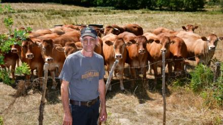 L'éleveur Pascal Mareix devant ses vaches à Mazeirat, le 7 juillet 2026 dans la Creuse