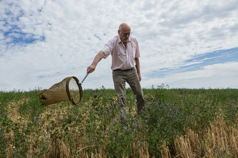 Philippe Lecompte, apiculteur, utilise un filet pour attraper une abeille, à Bouleuse, dans la Marne, le 6 août 2026