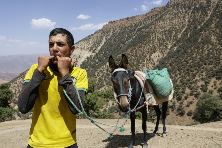 Un jeune du hameau d'Imzerri utilise la pratique ancienne du langage sifflé, permettant de communiquer à travers de vastes distances, le 19 août 2025 dans les montagnes de l'Atlas, au Maroc