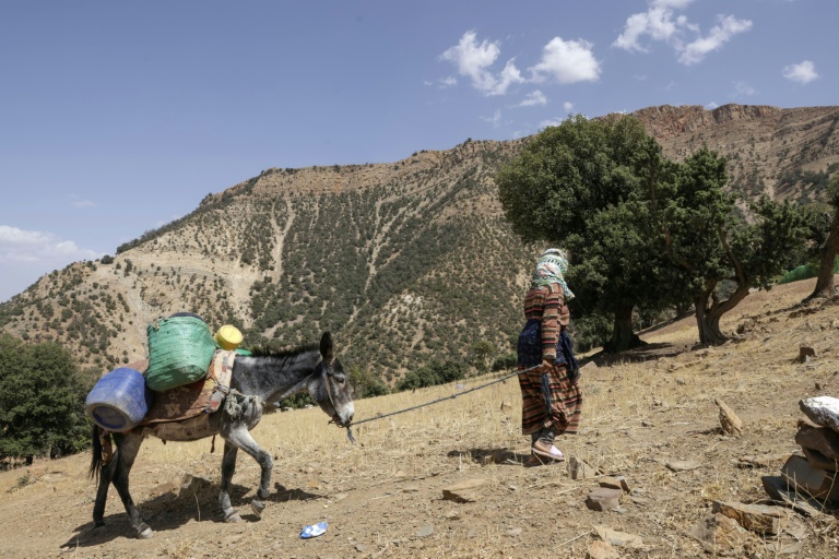 Une habitante du hameau d'Imzerri, le 19 août 2025 dans les montagnes de l'Atlas, au Maroc