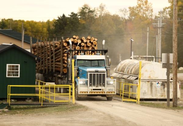Un camion transportant des grumes de bois à la scierie Pleasant River Lumber à Enfield, dans le Maine, le 13 octobre 2026, aux Etats-Unis