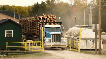 Un camion transportant des grumes de bois à la scierie Pleasant River Lumber à Enfield, dans le Maine, le 13 octobre 2026, aux Etats-Unis
