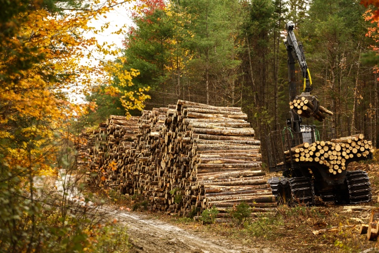Un engin empile des grumes de bois dans une forêt de Burlington, dans le Maine, le 13 octobre 2026