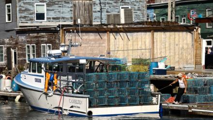 Un bateau de pêche rentre au port de Portland, dans le Maine (nord-est des États-Unis) après une matinée en mer, le 12 octobre 2026