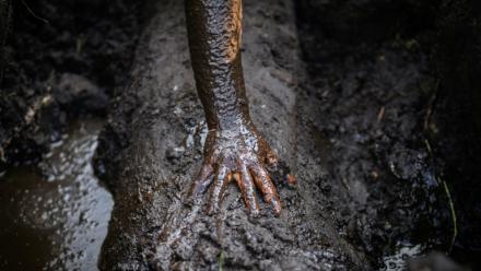 Un coutelier de l'atelier JHP creuse pour extraire un tronc de chêne en cours de fossilisation, appelé morta, dans la tourbe du marais de Brière, à Saint-André-des-Eaux, en Loire-Atlantique, le 15 octobre 2025 