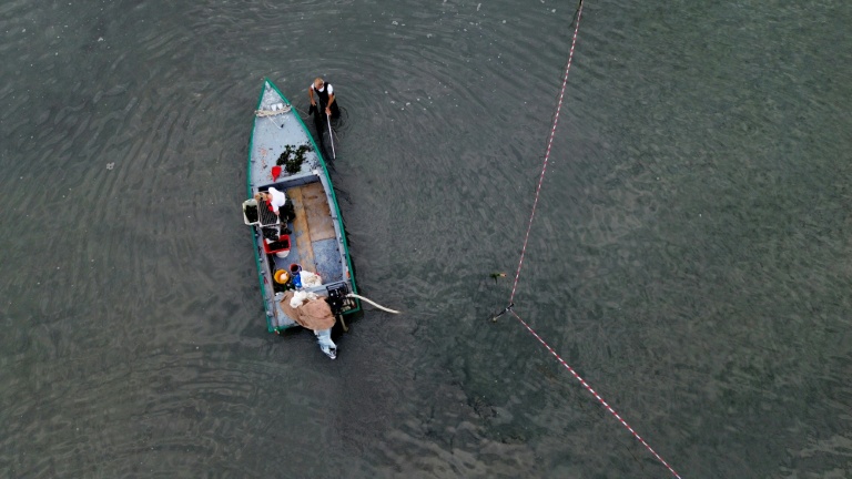 Vue aérienne des ramasseurs de palourdes dans les eaux peu profondes du delta du Pô, à Scardovari, dans le nord-est de l'Italie, le 26 juin 2026