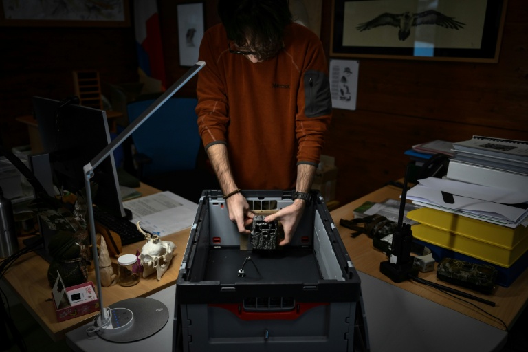 Marco Granata prépare un piège photographique utilisé pour surveiller les petits mustélidés, tels que les hermines, dans leur habitat naturel, à Entracque, dans le nord-ouest de l’Italie, le 22 décembre 2025