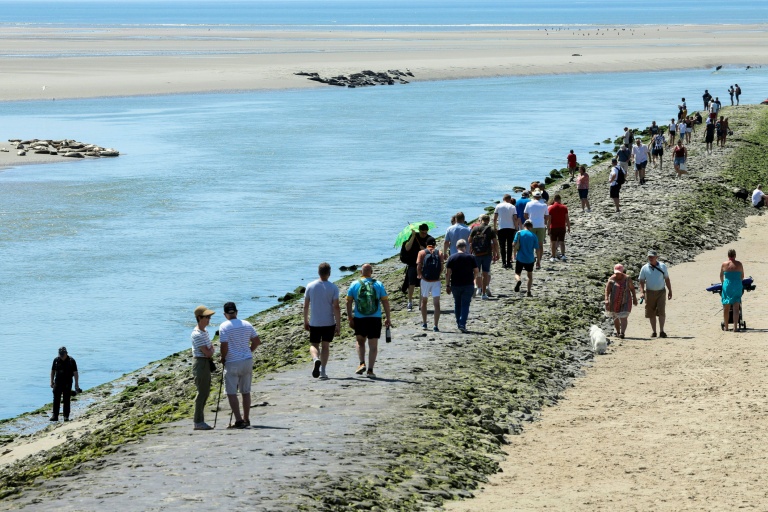 Des touristes viennent contempler des phoques dans la baie d'Authie, près de Berck-sur-Mer (Pas-de-Calais) le 26 mai 2026