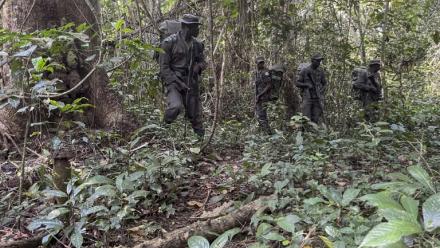 Des rangers de la fondation Africa Nature Investors s'entraînent à patrouiller dans la forêt d'Okomu, dans le sud-ouest du Nigeria, le 11 novembre 2025