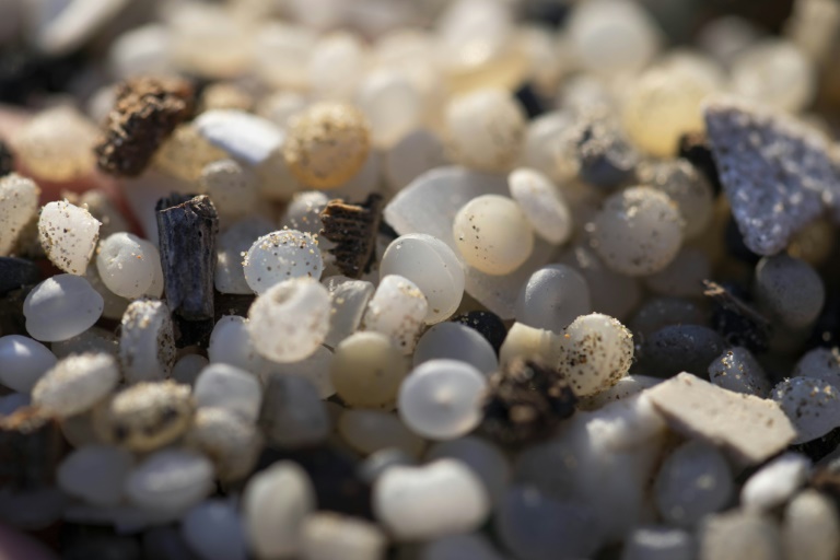 Des granulés plastiques industriels (GPI) échoués sur la plage de la Pineda, à Tarragone, en Catalogne, le 12 janvier 2024