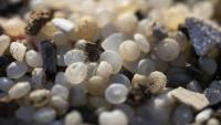 Des granulés plastiques industriels (GPI) échoués sur la plage de la Pineda, à Tarragone, en Catalogne, le 12 janvier 2024