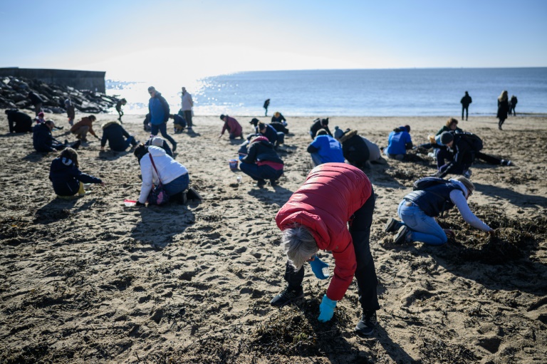 Ramassage de micro-billes de plastique sur une plage à Pornic, le 21 janvier 2023 en Loire-Atlantique