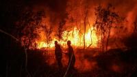Des pompiers luttent contre un incendie à Banjarbaru, en Indonésie, le 13 octobre 2026