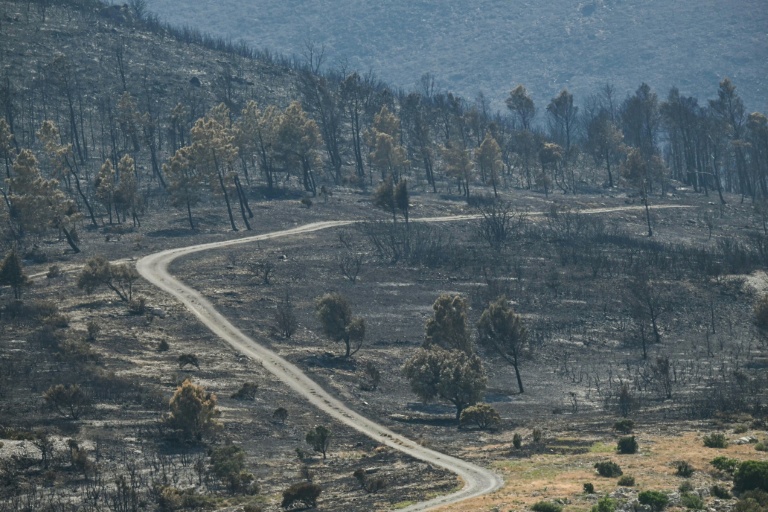 Une route au milieu d'un paysage ravagé par les flammes lors d'un incendie dans l'Aude, à Coustouge, le 8 août 2025