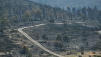 Une route au milieu d'un paysage ravagé par les flammes lors d'un incendie dans l'Aude, à Coustouge, le 8 août 2025