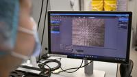Sur cette photo prise le 5 mai 2026, la chercheuse Daria Kornienko observe au microscope des neurones cultivés dans le laboratoire de l'entreprise australienne Cortical Labs à Melbourne 
