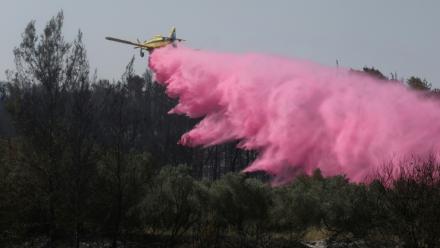 Un avion de lutte contre les incendies près de Bet Shemesh, dans le centre d'Israël, le 1er mai 2025