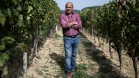 Filippo Mobrici, président du Consorzio Barbera d'Asti, le 21 septembre 2026 dans un vignoble près de la ville italienne d'Asti