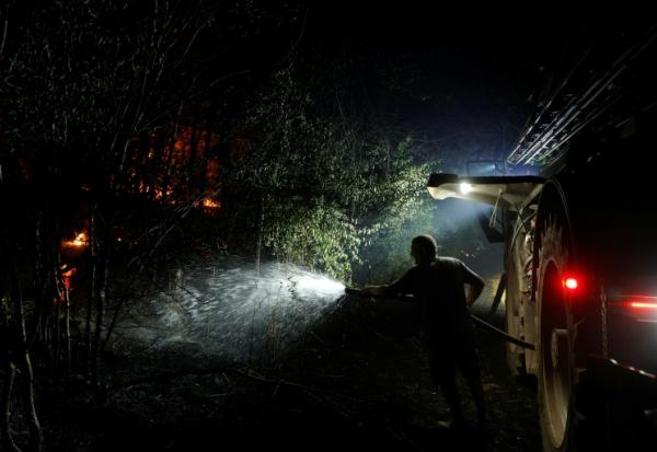 Incendie dans la forêt de Fontainebleau, à Noisy-sur-Ecole, le 12 juillet 2026
