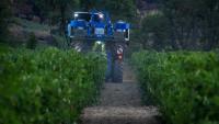 Vendanges dans les vignes de la coopérative viticole de Correns, dans le Var , le 17 août 2026