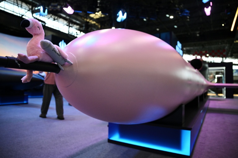 Le missile de croisière Flamingo (Flamant) de l'ukrainien Fire Point à Eurosatory à Villepinte, au nord de Paris, le 16 juin 2026