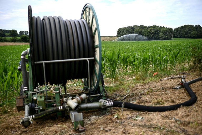 Pas d'agriculture sans eau