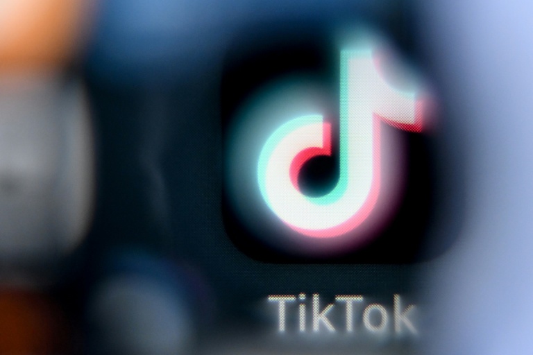 En février 2024, la Commission européenne a ouvert une enquête visant TikTok pour des manquements présumés en matière de protection des mineurs