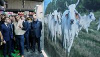 Le président Emmanuel Macron (g) au Salon de l'agriculture le 21 février 2026 à Paris devant un hologramme d'une vache 