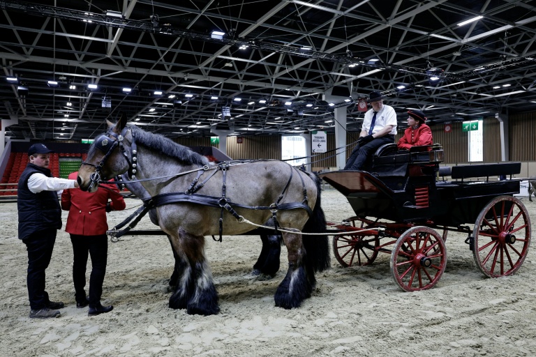 Un attelage de chevaux Trait du Nord avant l’ouverture de l’édition 2026 du Salon de l’agriculture au Parc des expositions de la Porte de Versailles, à Paris, le 20 février 2026