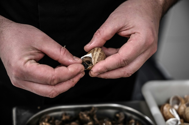 Un héliciculteur prépare uen commande d'ecargots de Bourgogne, le 19 février 2021, à Etrigny, en Saône-et-Loire 