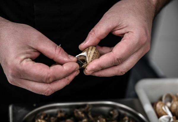 Un héliciculteur prépare uen commande d'ecargots de Bourgogne, le 19 février 2021, à Etrigny, en Saône-et-Loire 
