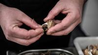 Un héliciculteur prépare uen commande d'ecargots de Bourgogne, le 19 février 2021, à Etrigny, en Saône-et-Loire 